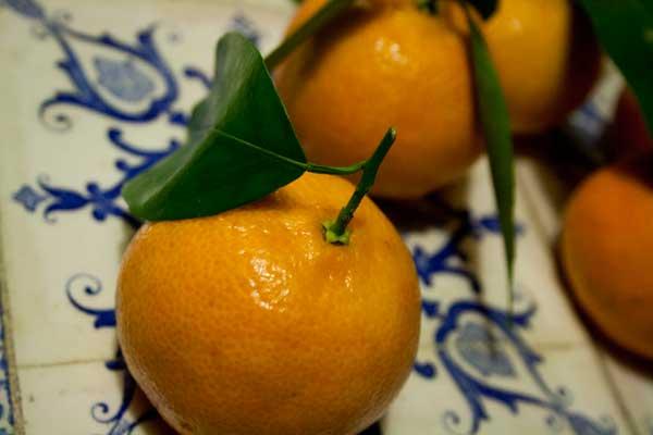 7 jours- 7 photos - 7 days 7 jours- 7 photos - 7 days