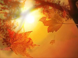 autumn-kiss_.jpg