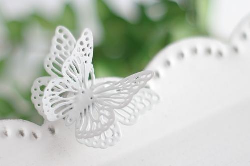 Fiorirà un giardino - Poésie du quotidien! Fiorirà un giardino - Poésie du quotidien!