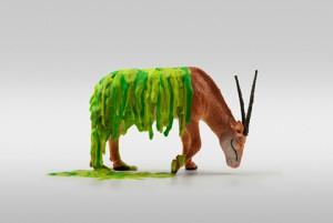 doug_pedersen-5 doug_pedersen-5