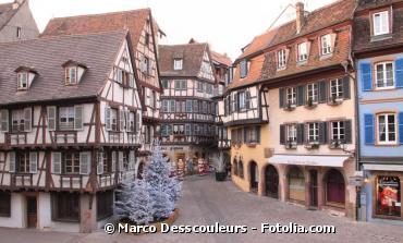 Strasbourg plante une graine de non-violence