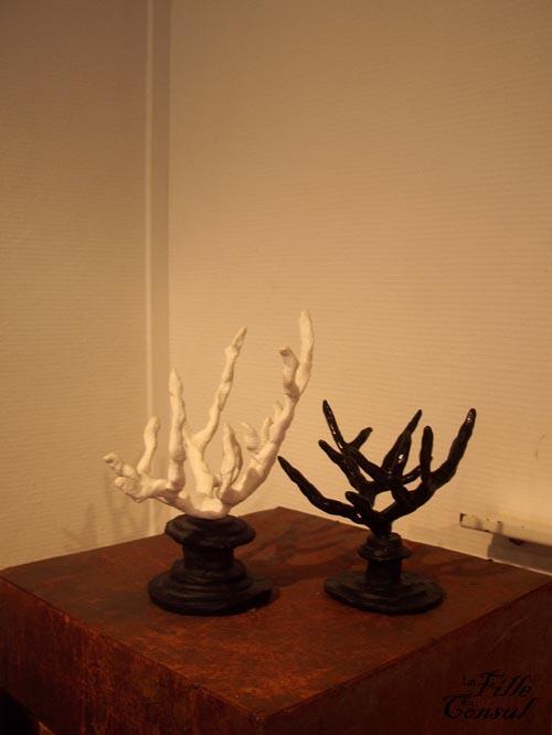 Quelques images de l'exposition qui se tenait le week-end... Quelques images de l'exposition qui se tenait le week-end...