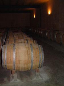 Visite au château Le Thil Comte Clary (Pessac Léognan) Le_Thil_3