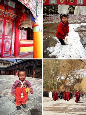 Sauté de porc aux brocolis et noix de cajou Sauté de porc aux brocolis et noix de cajou