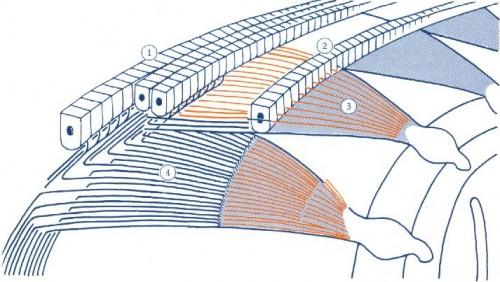 TRT - Génération - 4ème Hypothèse: l´effet de bord effet de bord, fibres, cellules cilliées, acouphènes