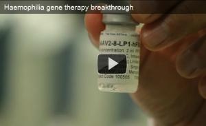 HÉMOPHILIE B : Premier grand succès par thérapie génique  – NEJM