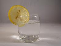 Les agrumes pour éviter les pépins de l'hiver Les agrumes pour éviter les pépins de l'hiver