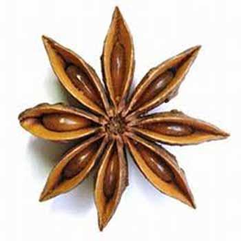 a L’Anis Etoilé « fruit du firmament »