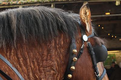 Marché de Noël sur la colline Marché de Noël sur la colline