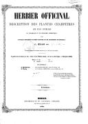La thérapeutique par les plantes (II) : Pratiques et actualité Herbier officinal, description des plantes champêtres les plus usuelles en pharmacie et en économie domestique,... / par Gérand aîné...