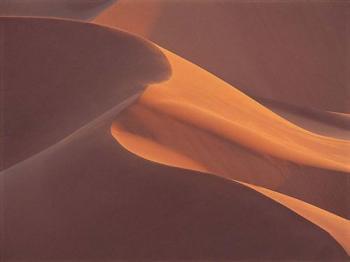 dune-rose Pause hivernale