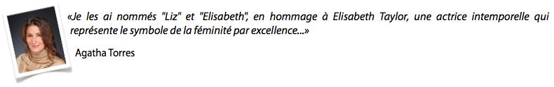 AGATHA TORRES: Autant en emportent les bottines ! verbatim