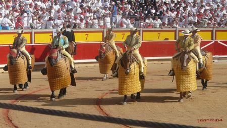 GANADERIAS POUR PAMPELUNE P1050818