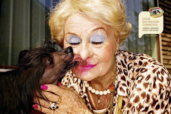 de la nourriture organique pour chien de la nourriture organique pour chien