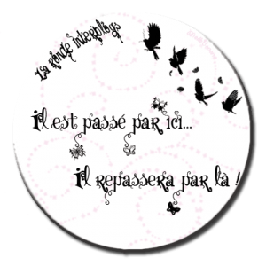 ronde_interblog Tarte aux pommes à l’hollandaise / Dutch Apple Pie