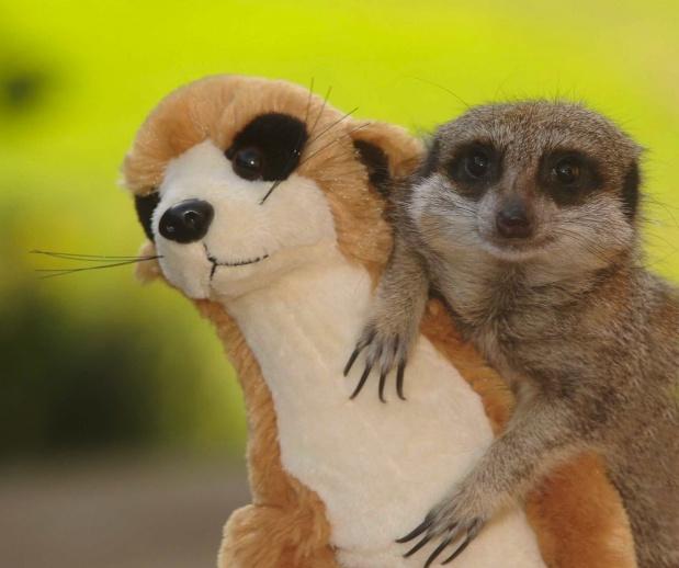 SIPA_00624108_000001 SIPA_00624108_000001