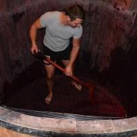 Biogaz : de l’électricité à partir de vin et de fromage ? Biogaz : de l’électricité à partir de vin et de fromage ?