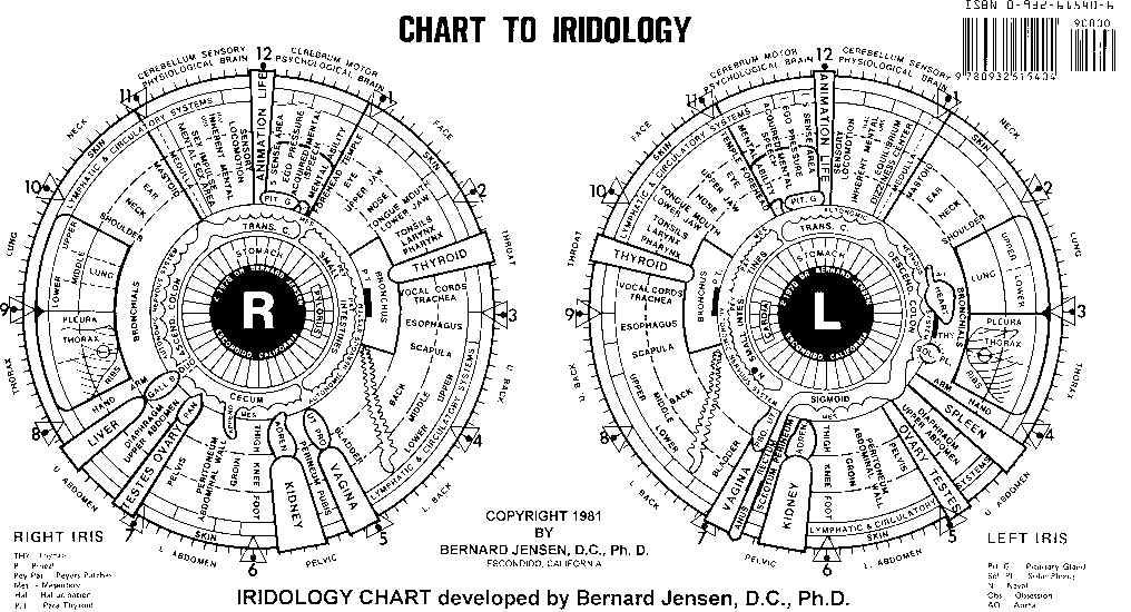 Diagnostic avec Iridology