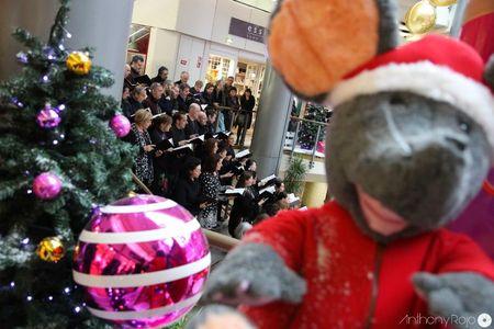 Reportage Photos - Le choeur de l'Opéra National de Bordeaux prépare ses courses de noël ! IMG_5576