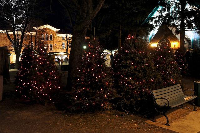 Ok, je l'avoue je suis retournée au Marché de Noël !!! DSC03135