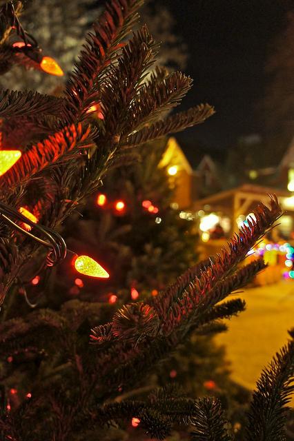 Ok, je l'avoue je suis retournée au Marché de Noël !!! DSC03146