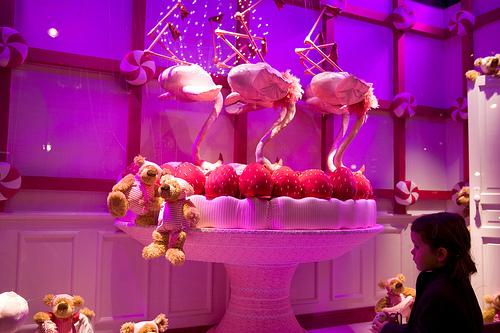 photopassion - fete 5 Les photos pendant les fêtes