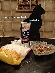 On mange quoi demain ? Les raffaellos Les-raffaellos.jpg