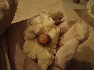 On mange quoi demain ? Les raffaellos Les-raffaellos-3.jpg