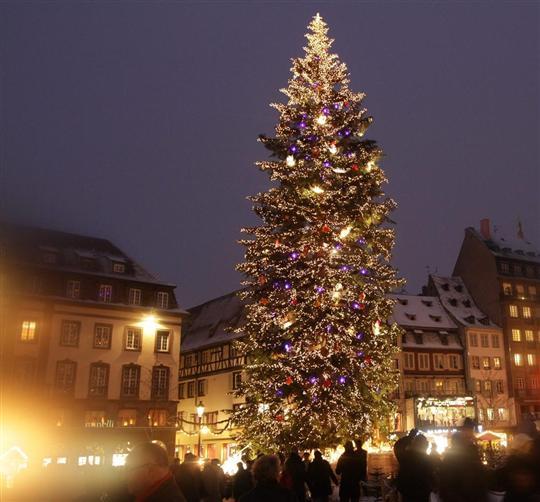 sapin strasbourg Joyeux Noël !