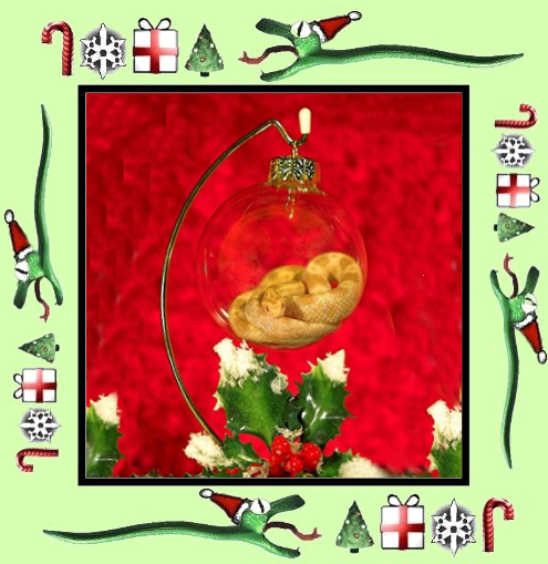 Joyeux Noël http://www.kaaland.fr/images/2011/12/14473.png