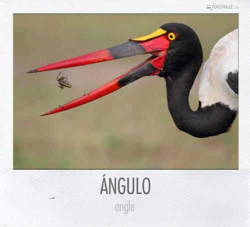 Photographier les maths, ça ressemble à quoi ? via ‘Inclassables Mathématiques 2.0′ angulo-fotomat-2011-12-17.jpg