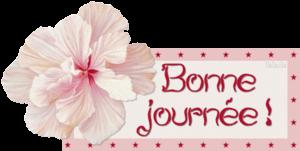 Coconut Pie ( Tarte à la noix de coco ) 3dbyy3lo