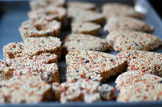 Cadeaux ecolos et ecomomes : graines custumisees pour oiseaux Cadeaux ecolos et ecomomes : graines custumisees pour oiseaux