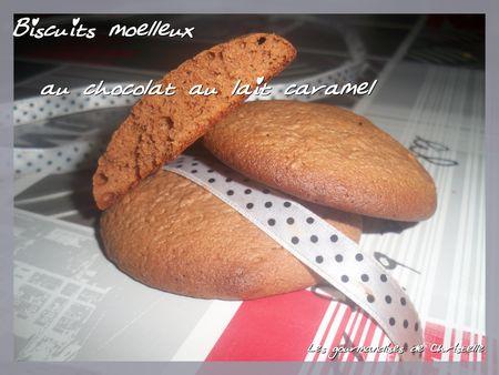Biscuits_moelleux_au_chocolat_au_lait_caramel