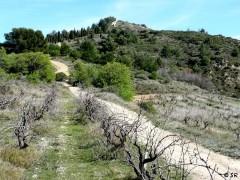 La grande marche littérature
