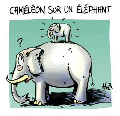 Mimétisme CameleonW