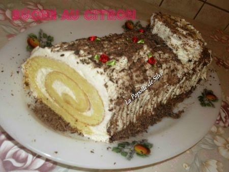 Bûche au citron SAM_9914