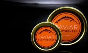 Le caviar bio des Pyrénées