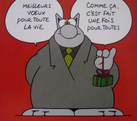 Photo du dimanche : bonne année 2012 ! voeux_lechat