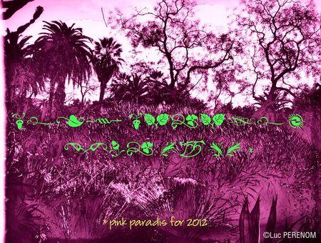 Pinkparadis2012w Pinkparadis2012w
