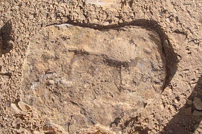 Tunisie antique - trouvailles archéologiques rupestres