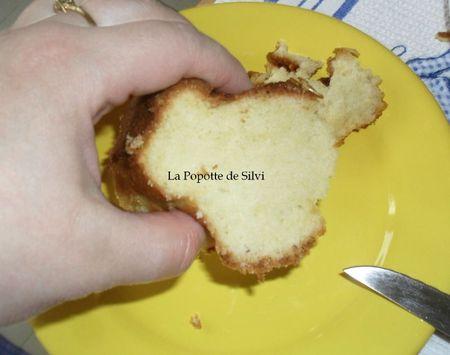 Gâteau au lait d'amandes ( tout moelleux ) SAM_9836