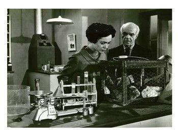 La Femme Guêpe femme_guepe_5