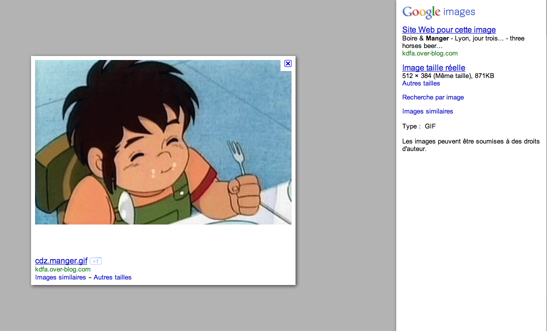 droit-google-images De l’usage des banques d’images sur Internet