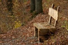 Présence-absence Littérature