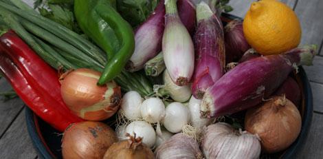 astro-f-et-l astrologie