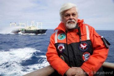 Sea Shepherd acquiert des drones pour traquer les baleiniers