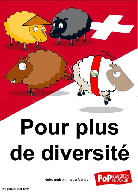 guerre moutons