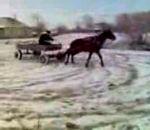 vidéo drift cheval carriole	