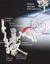 Dextre dextre290.jpg